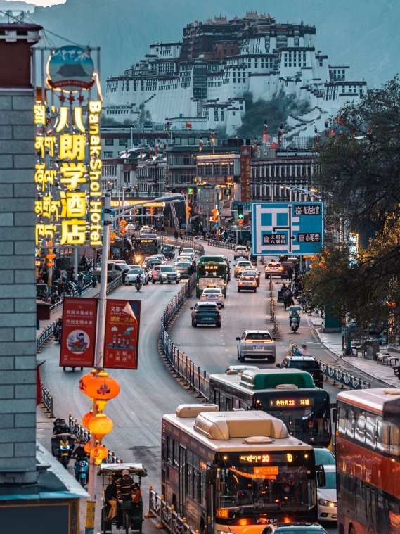 拉萨八朗学酒店（八廓街店）-官方