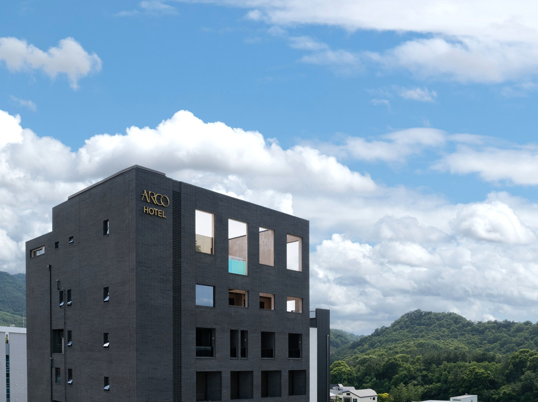 大邱寿城阿尔科酒店狮子公园