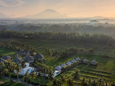 TheWakanda Resort A Pramana Experience