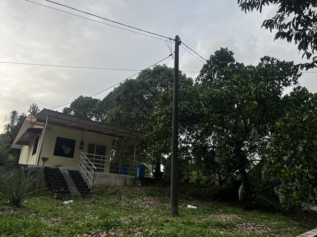 Tiny House @ Happy Farm | 0 min Nature, 3 min Town