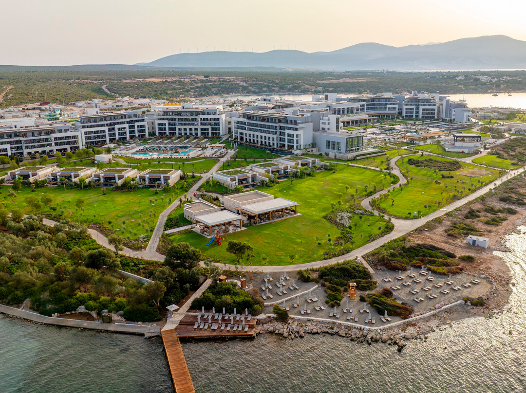 Anda Barut Collection