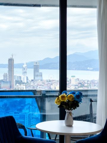 Panoramic View Orbi City