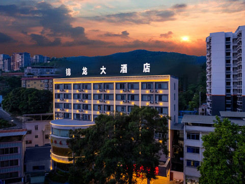田林锦龙大酒店