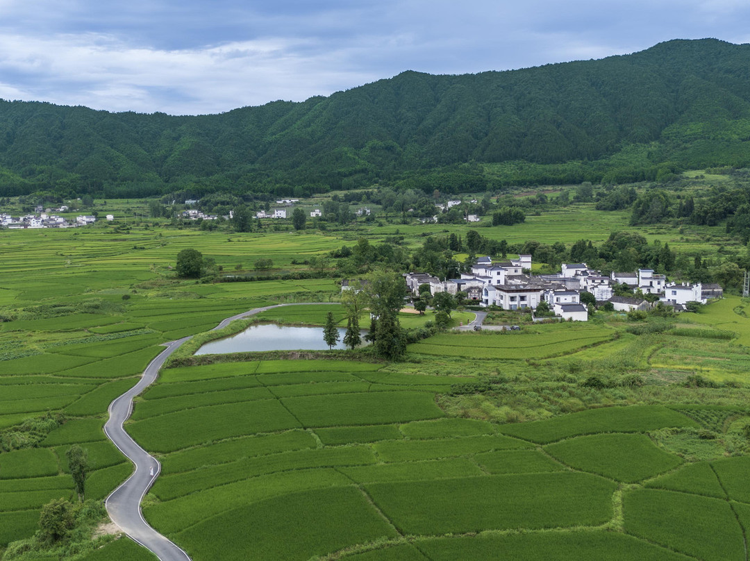 黄山澍德堂•黟县交叉小径的花园
