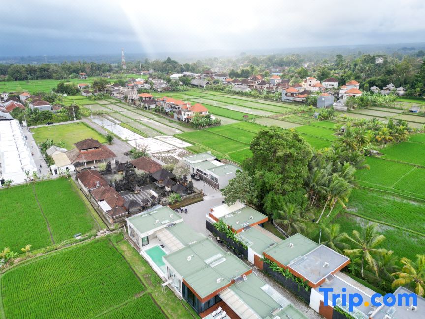 Green Flow Villas