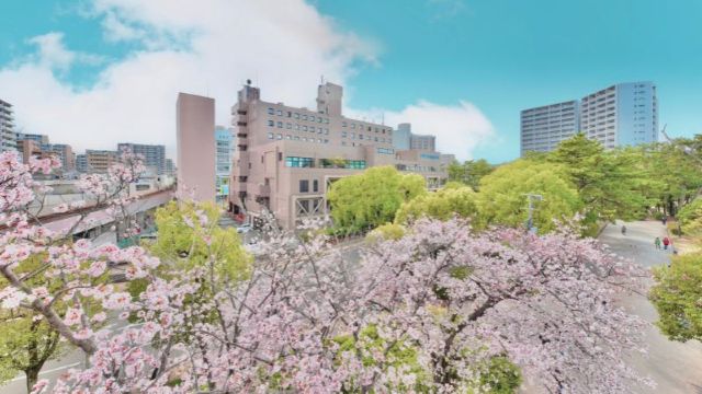 大阪南千微笑酒店-官方