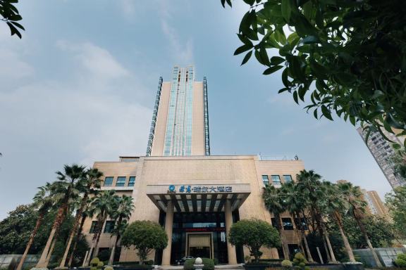 拓新瑞尔大酒店-官方