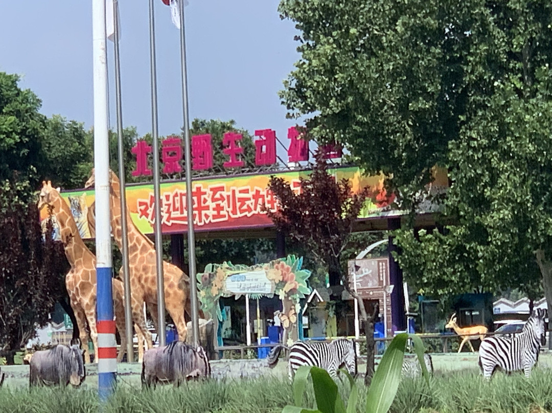 孔雀城精品民宿