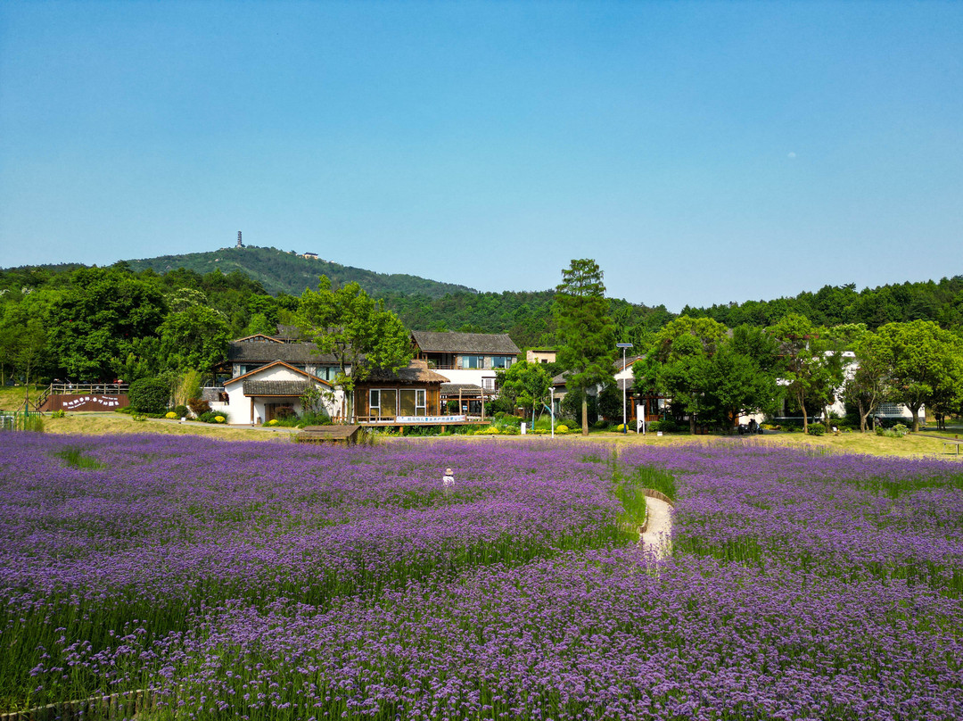 庐江许山里民宿