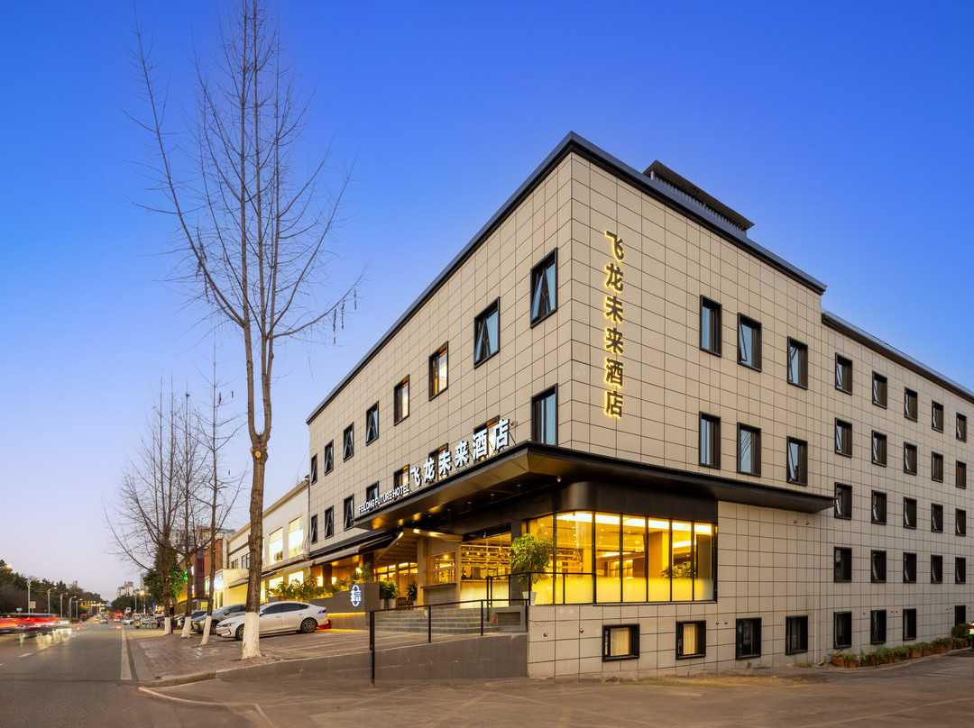 飞龙未来酒店（成都崇州市政府罨画池店）