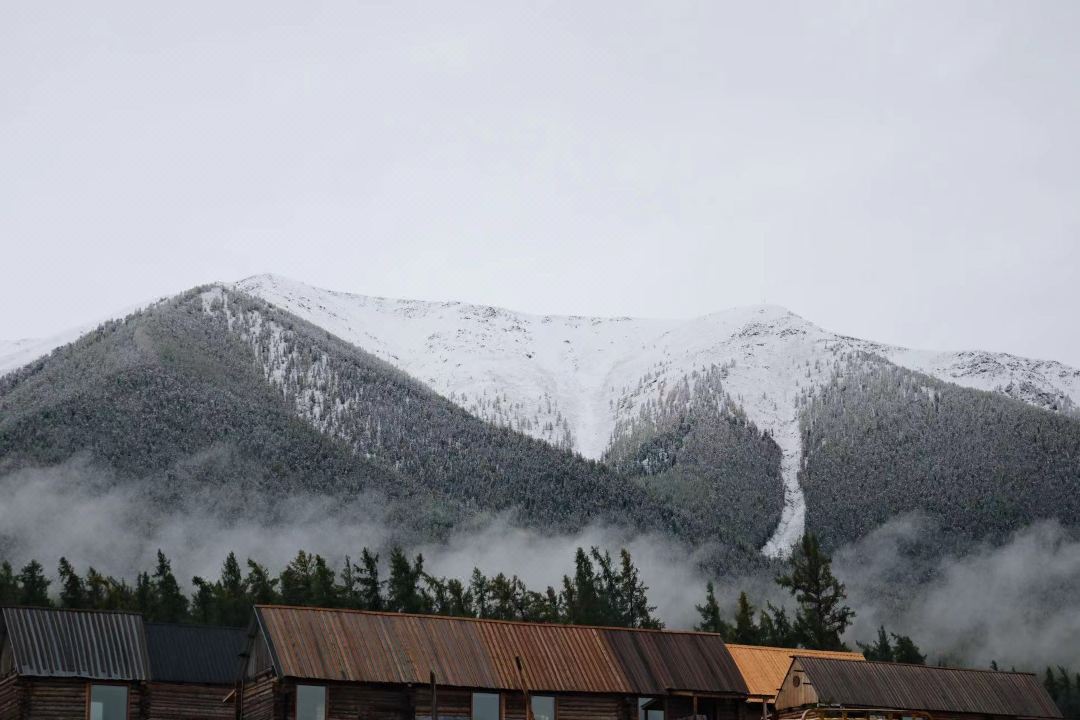 Baihaba Zouma Wild Luxury Homestay