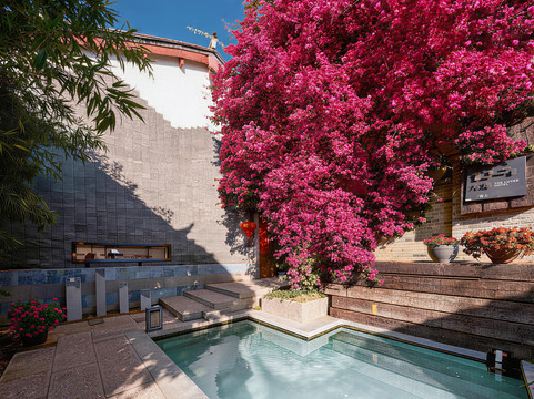 六逸LUYEE | 春上花园美宿（丽江古城大水车店）