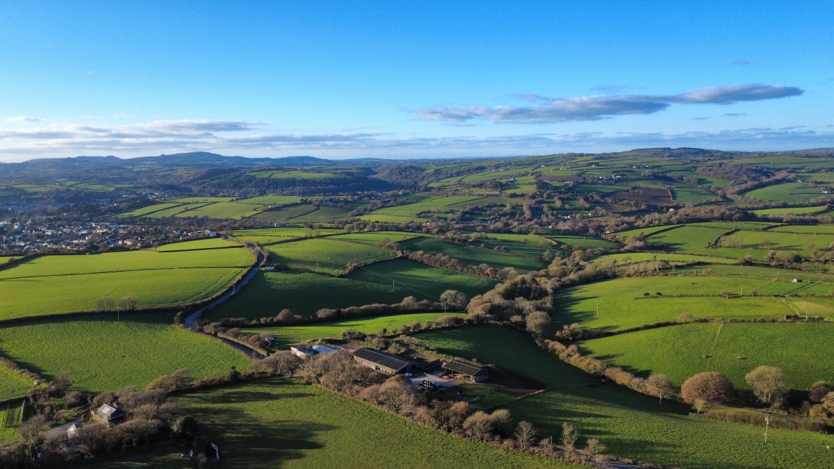 Trenython Manor-官方