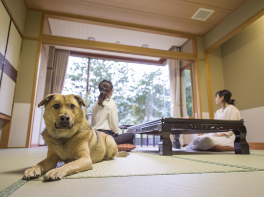 Matsusaka Wanwan Paradise Mori No Hotel Smeall