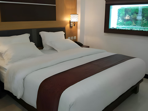 Pangkalan Bun酒店住宿-Alibaba Hotel