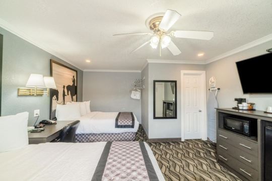 Snyder TX 紫色鼠尾草-官方