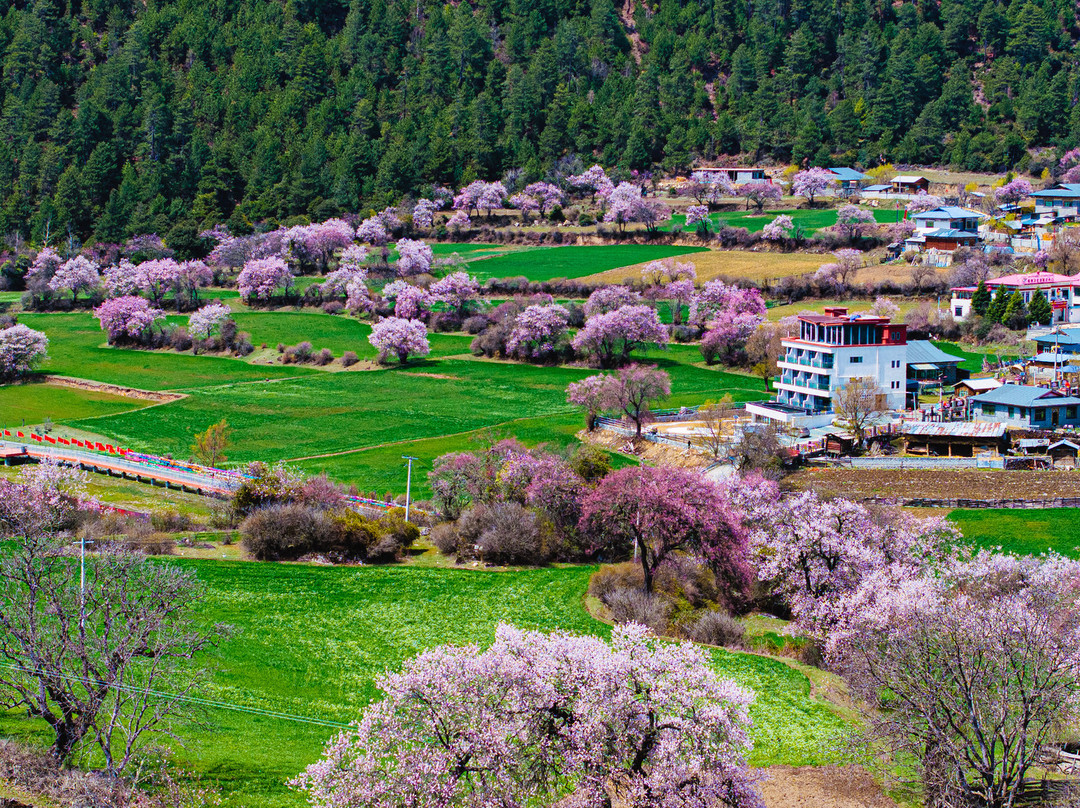 述野・非遗隐世山居