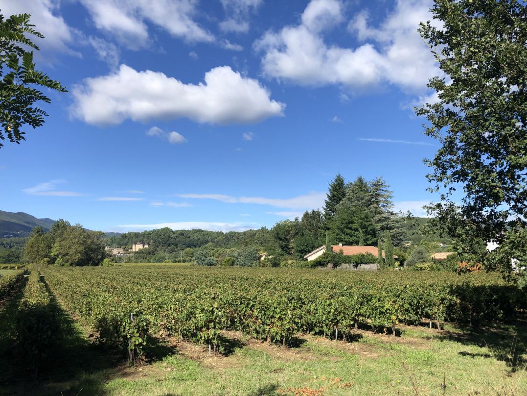 Domaine des Vans