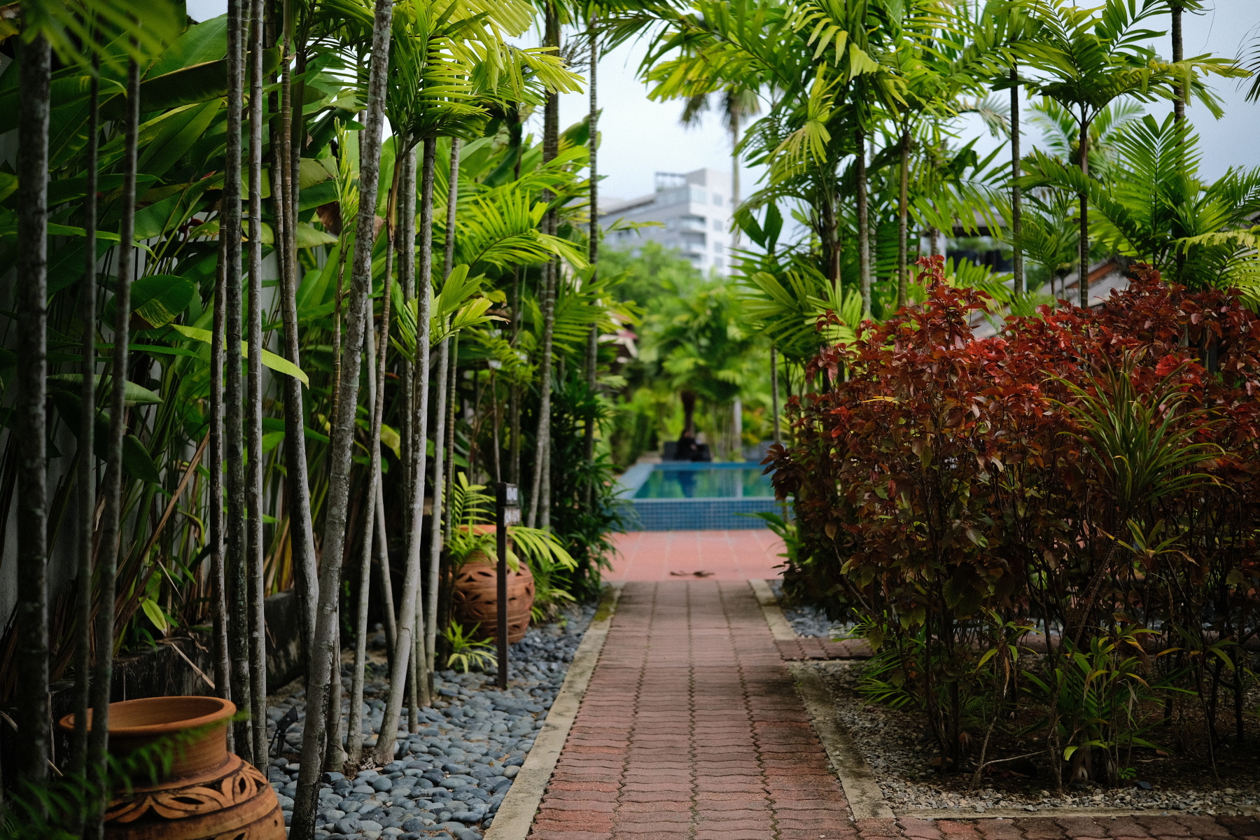 兰卡威热带度假村-官方