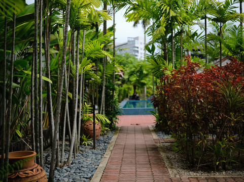 兰卡威热带度假村