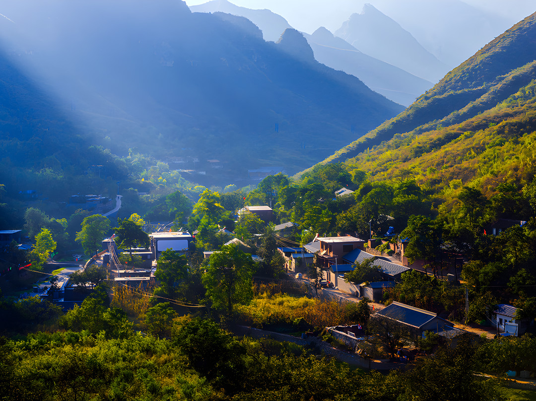 麻麻花的山坡小院