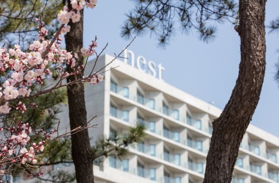 仁川鸟巢酒店-官方