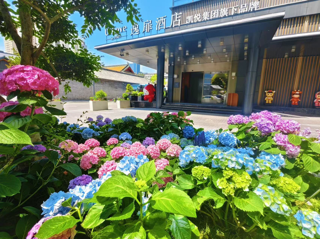 徐州彭城广场逸扉酒店