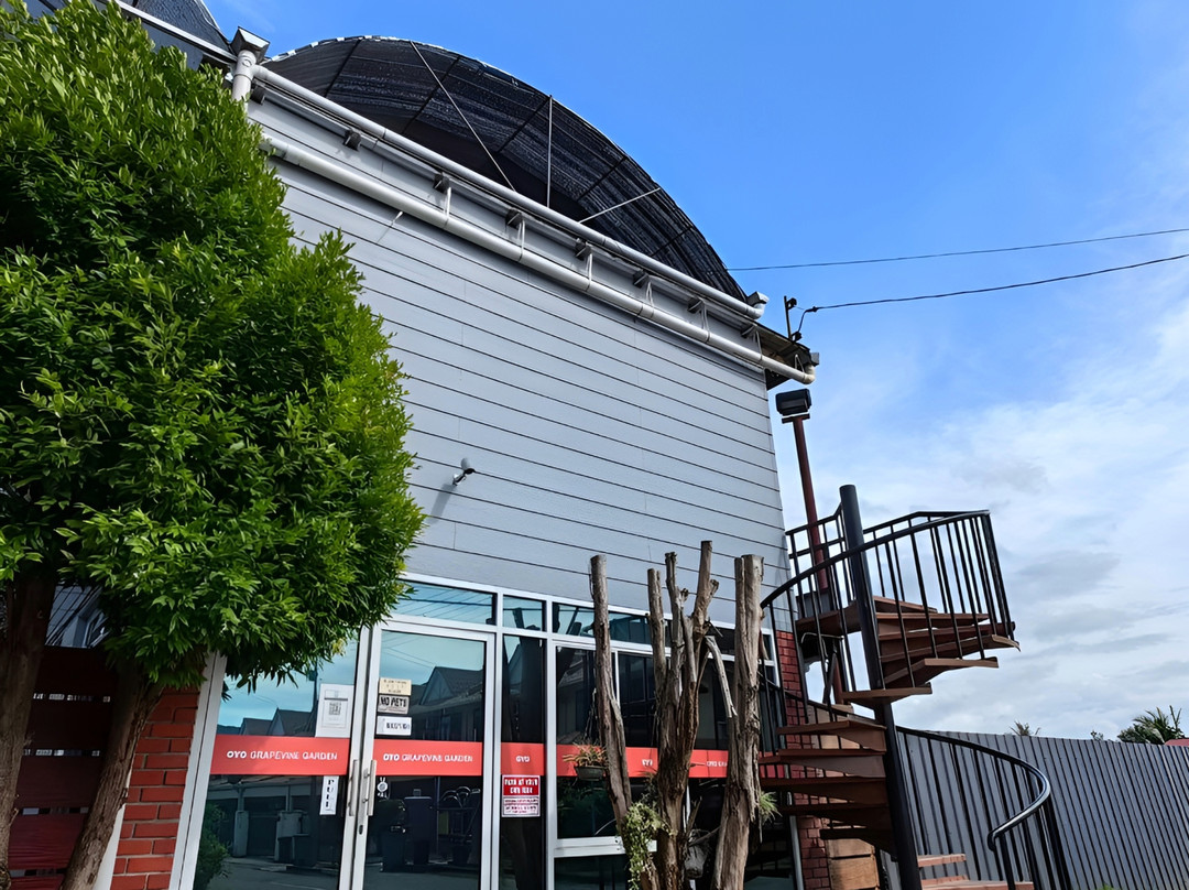 葡萄藤花园酒店