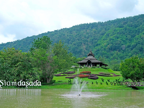 达萨达，艾斯森斯花语度假村主图