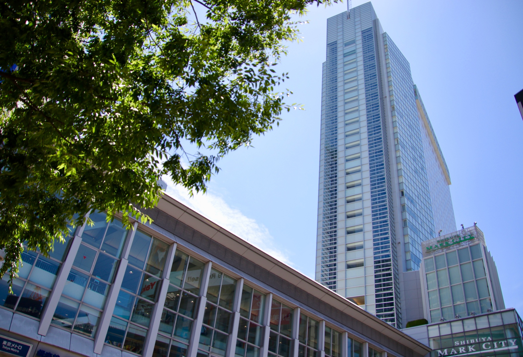 东急涩谷卓越大酒店-官方