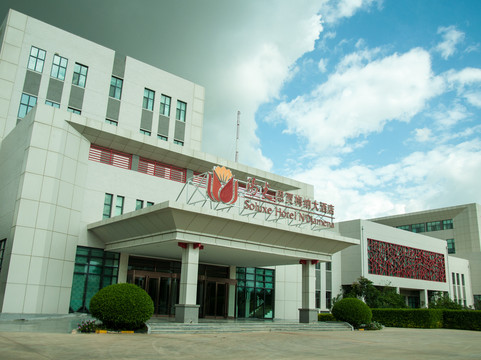 恩加美纳酒店住宿-Soluxe Hotel