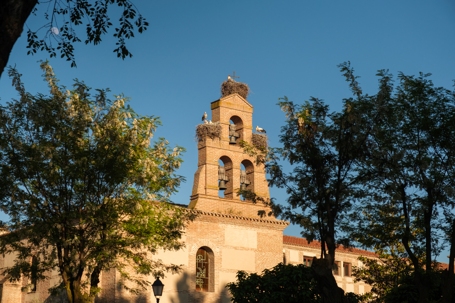 奥尔梅多卡斯蒂利亚特马尔酒店-官方