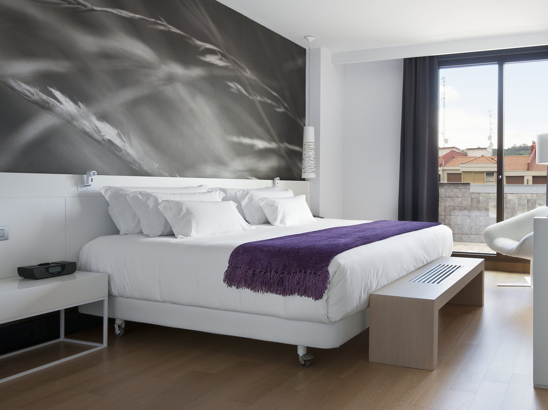 毕尔巴鄂别墅NH系列酒店