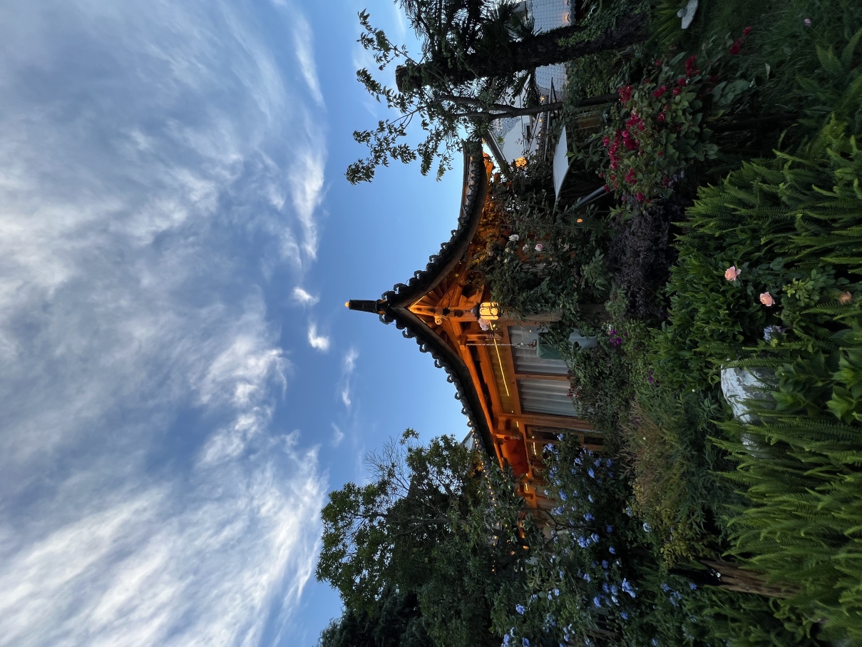 古琴别院·古琴花园疗愈美宿（大理古城南门店）-官方