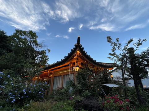 古琴别院·古琴花园疗愈美宿（大理古城南门店）主图