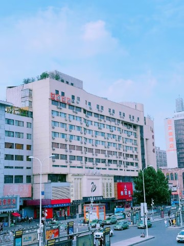 天鹅主题文化宾馆（郑州火车站二七广场店）-官方