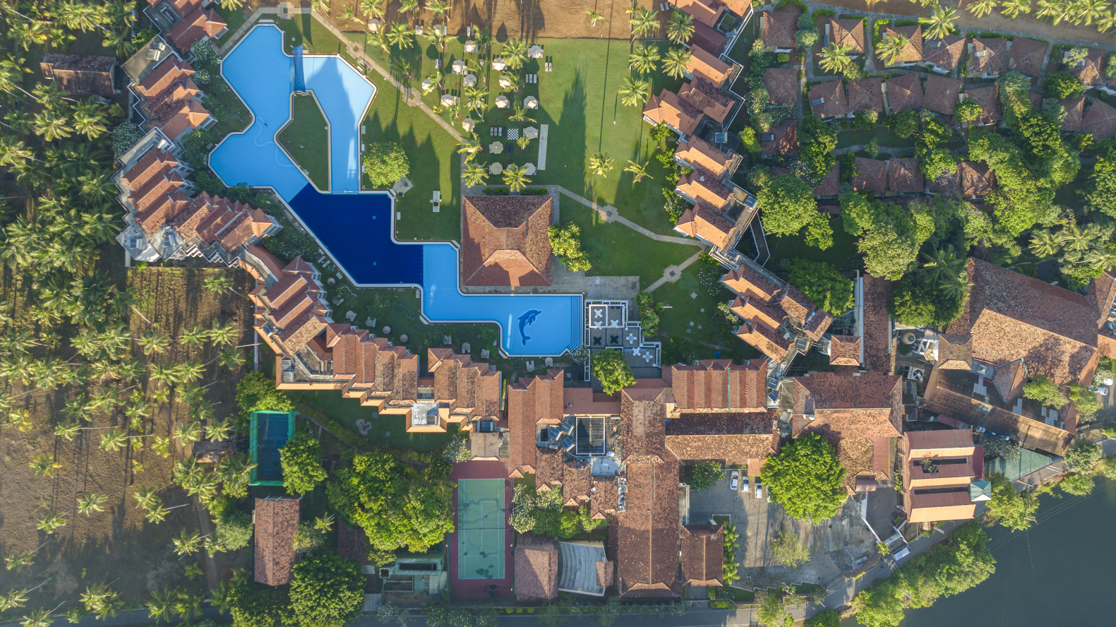 海豚俱乐部酒店-官方