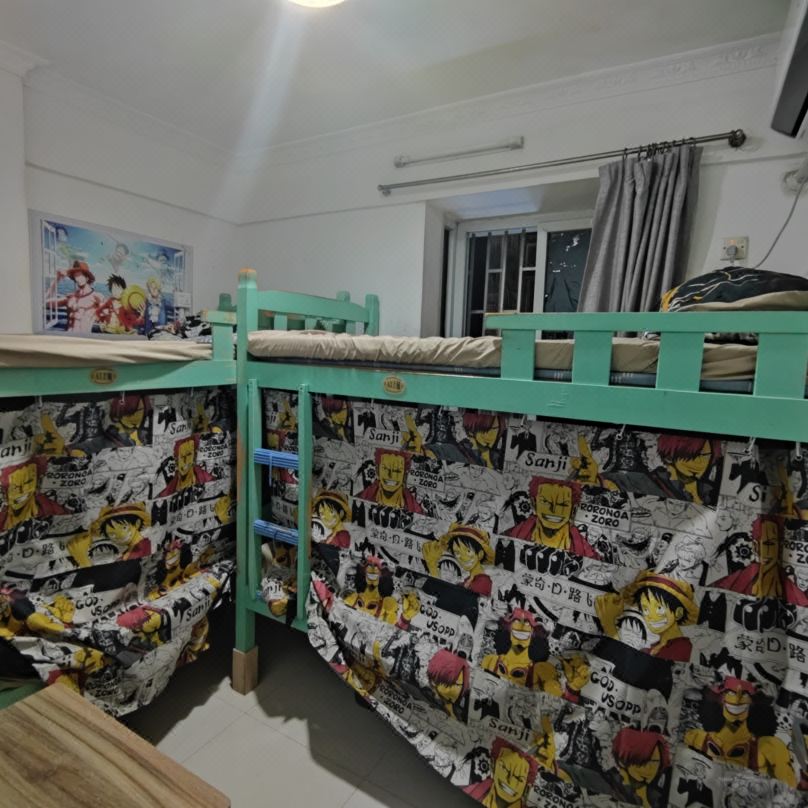 Sea Thief King Luffy Apartment