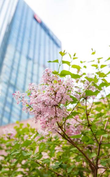 北京千禧大酒店-官方