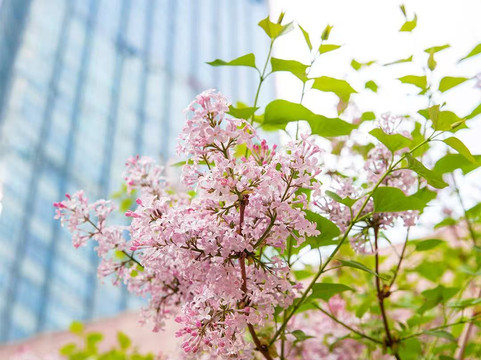 北京千禧大酒店主图