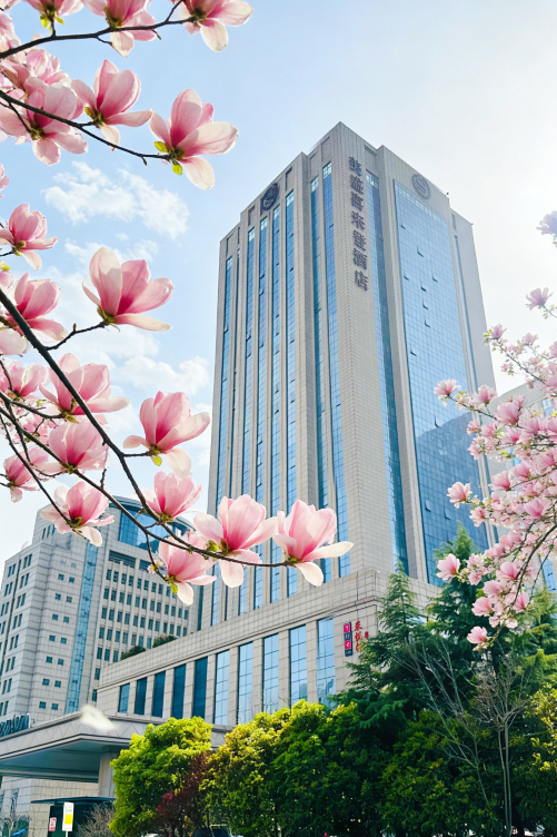 郑州美盛喜来登大酒店-官方