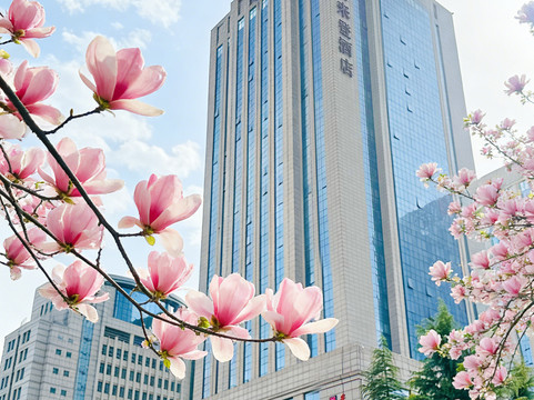 郑州美盛喜来登大酒店