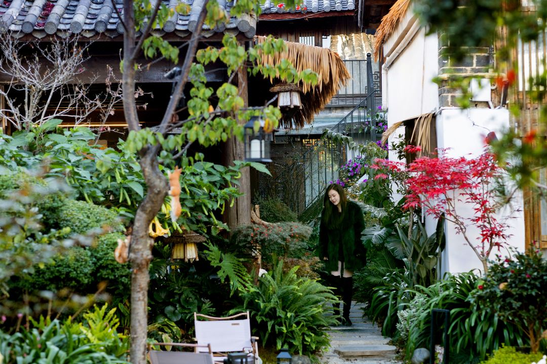 The Secret Garden of Cats & Wolf's Den | Barista Courtyard Cafe & Inn (Wuyi Street)