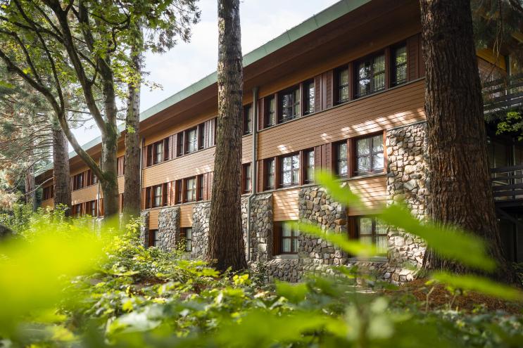 迪士尼红杉小屋®-官方