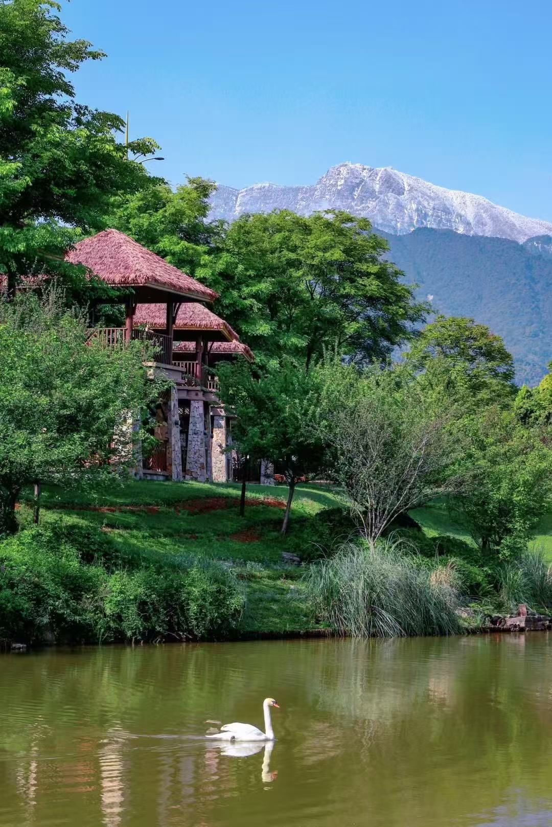 峨眉山蓝光己庄·悟啦啦主题亲子酒店-官方