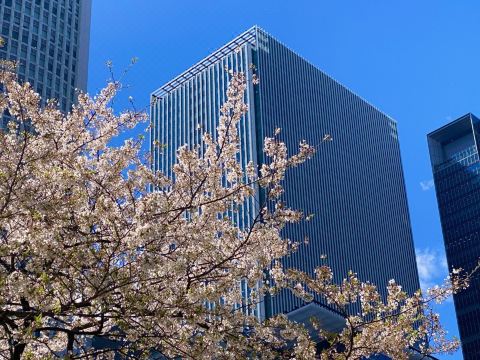 Nagoya JR Gate Tower Hotel (JR-Central Hotels)