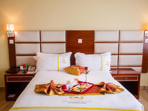 Tiffany Diamond Hotels at Indira Gandhi