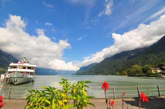 塞勒湖边住宿-官方