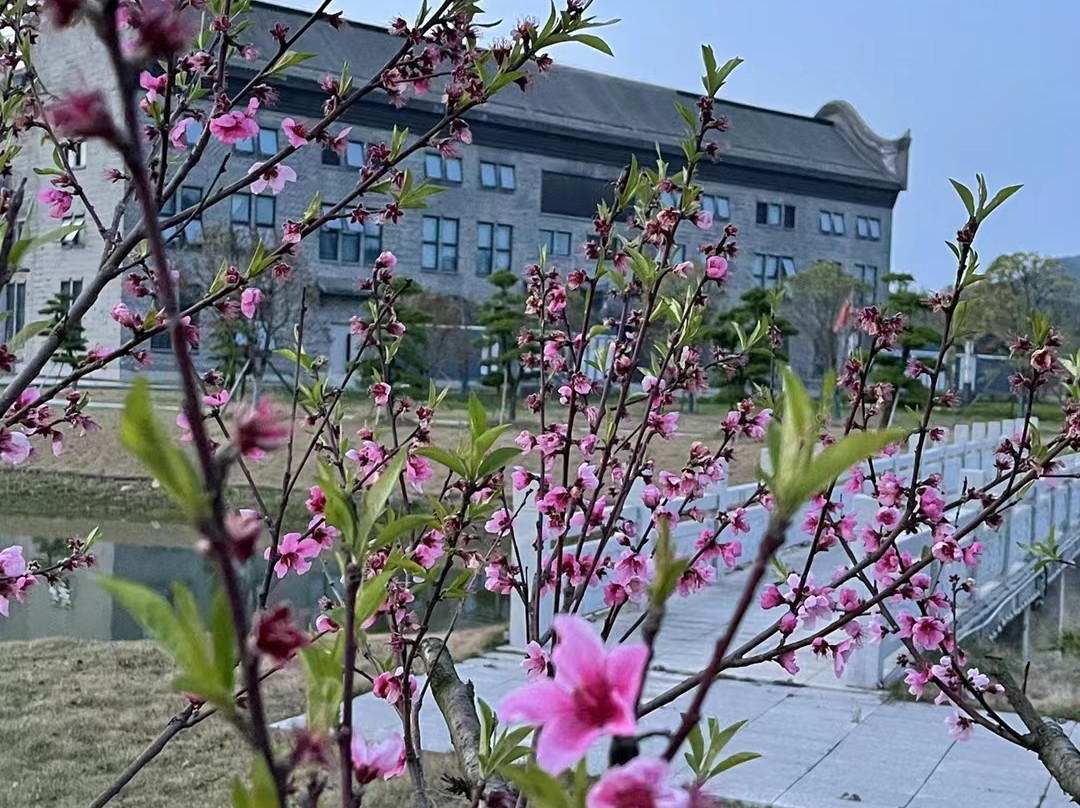 何家冲永何实业商务中心