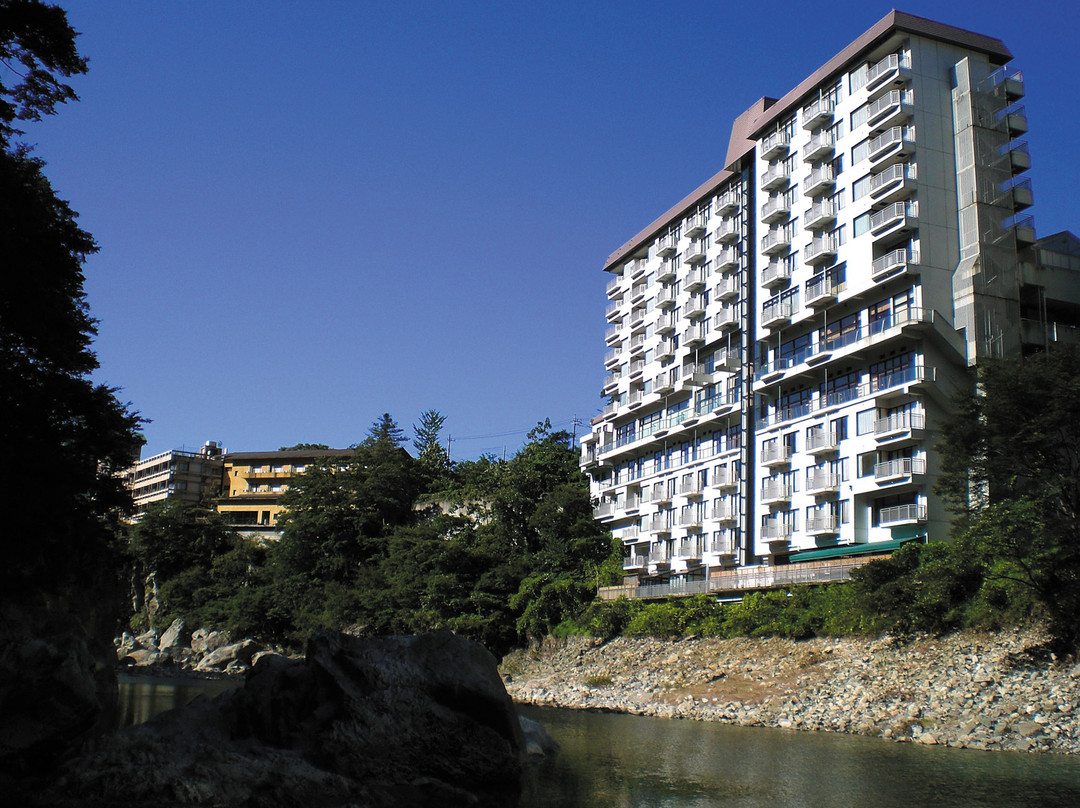 日光市酒店住宿-Hanasenkyo hotspring hotel In Kinugawa